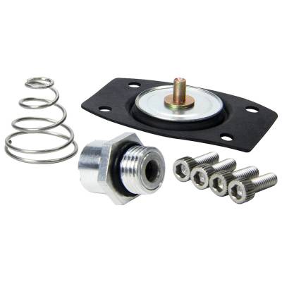 Allstar Performance - Allstar Performance ALL99430 Rebuild Kit for ALL40290