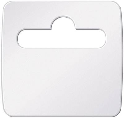 Allstar Performance - Allstar Performance ALL020-50 Product Fix-It Tags 50Pc