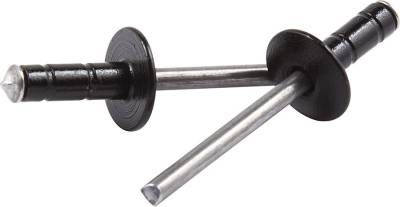 Allstar Performance - Allstar Performance ALL18087 Med Hd Rivet Black 250Pc Multi Grip