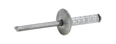 Allstar Performance - Allstar Performance ALL18093 Lg Hd Rivet Silver 250Pc Multi Grip