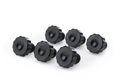 Allstar Performance - Allstar Performance ALL16178 Flexplate Bolt Kit 7/16-20 x .500 6Pc