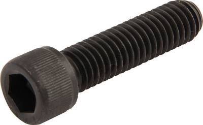 Allstar Performance - Allstar Performance ALL16732 Socket Head Bolts 1/4-20 x 1" 5Pc