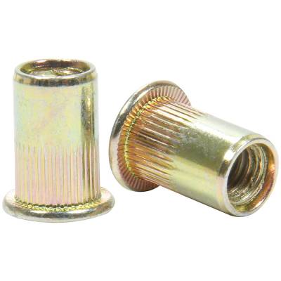 Allstar Performance - Allstar Performance ALL19463 Threaded Insert 1/4-20 10Pc
