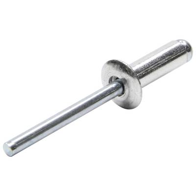 Allstar Performance - Allstar Performance ALL18000 Sm Hd Rivet Silver 250Pc