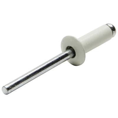 Allstar Performance - Allstar Performance ALL18001 Sm Hd Rivet White 250Pc