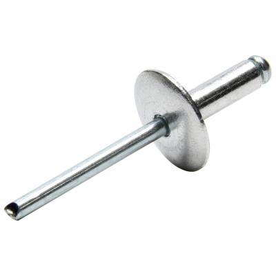 Allstar Performance - Allstar Performance ALL18010 Lg Hd Rivet Silver 250Pc