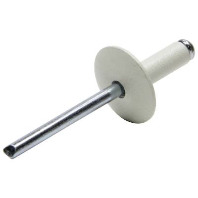 Allstar Performance - Allstar Performance ALL18011 Lg Hd Rivet White 250Pc