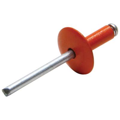 Allstar Performance - Allstar Performance ALL18015 Lg Hd Rivet Orange 250Pc