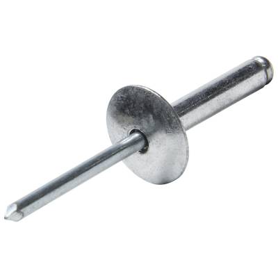Allstar Performance - Allstar Performance ALL18030 Lg Hd Rivet Silver 200pk
