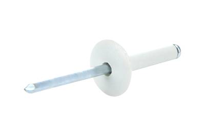 Allstar Performance - Allstar Performance ALL18031 Lg Hd Rivet White 200pk