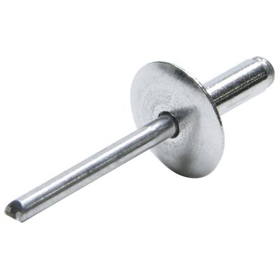 Allstar Performance - Allstar Performance ALL18050 Lg Hd Rivet Silver Alum 250Pc