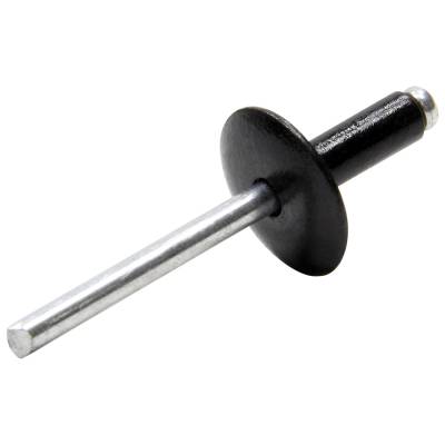 Allstar Performance - Allstar Performance ALL18053 Lg Hd Rivet Black Alum 250Pc