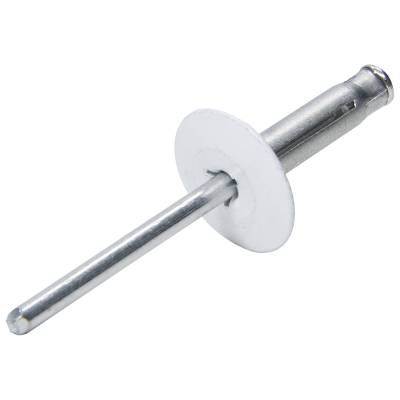 Allstar Performance - Allstar Performance ALL18061 Lg Hd Rivet 250Pk White Flange Type Alum Mandrel