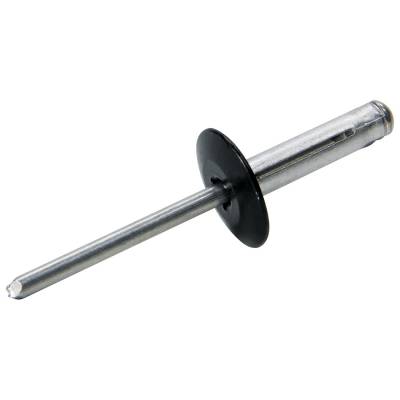 Allstar Performance - Allstar Performance ALL18063 Lg Hd Rivet 250Pk Black Flange Type Alum Mandrel