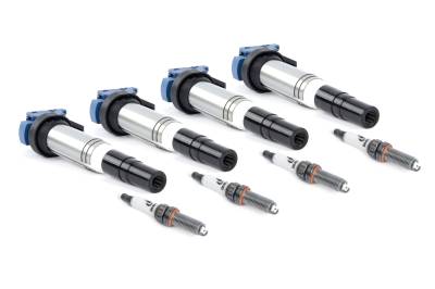 Dinan - Dinan D655-0009 Performance Ignition Coil