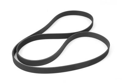 Omix - Omix 17111.51 Serpentine Belt 3.6L