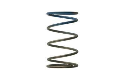 Turbosmart - Turbosmart TS-0505-2005 2011 WG38/40/45 10-PSI Outer Brown/Blue Spring