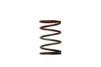 Turbosmart - Turbosmart TS-0505-2004 2011 WG38/40/45 11-PSI Middle Spring Brown/Red