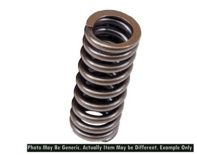 BLOX - BLOX Racing BXPT-20301 Valve Springs for D-Series SOHC VTEC