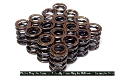 BLOX - BLOX Racing BXPT-10301 Dual Valve Springs for K20A2