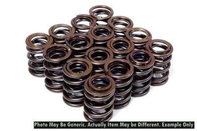 BLOX - BLOX Racing BXPT-10302 Valve Springs for B18A-B/B20 1.8L-2.0L DOHC