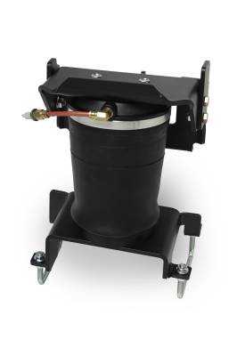 Firestone Ride-Rite - Firestone Ride-Rite 2565 Rear Air Helper Spring Kit for 09-14 Ford F150 Raptor