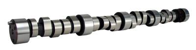 COMP Cams - COMP Cams 11-460-8 Magnum 244/244 Hydraulic Roller Cam 67-96 Chevy BB 396-454