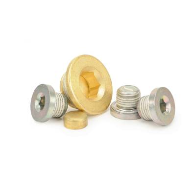 COMP Cams - COMP Cams 251 Engine Plug Kit for Chevrolet GEN III/IV LS