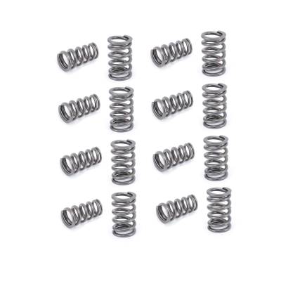 COMP Cams - COMP Cams 26975-16 Dual Valve Springs 1.560" OD 500lb/in 16Pc for Ford/GM SB