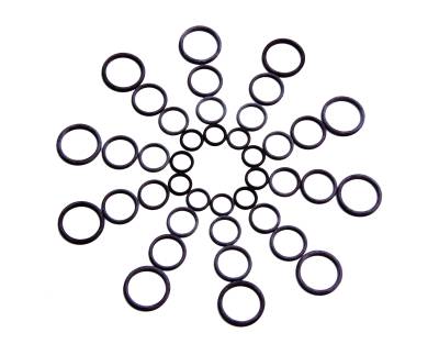 Aeromotive Fuel System - Aeromotive 15621 Nitrile O-Ring 10Pc Size AN-06