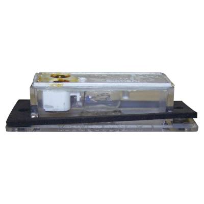 Crown Automotive Jeep Replacement - Crown Automotive J3670544 License Plate Light
