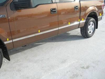 Quality Automotive Accessories - Quality Automotive MI44306 Molding Insert 04-08 Ford F150