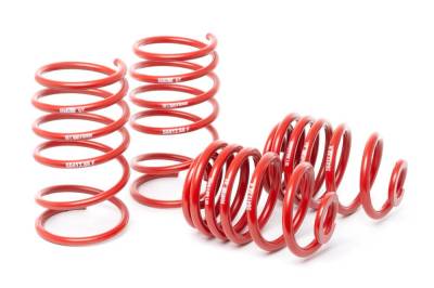 H&R Special Springs LP - H&R 50412-88 Race Lowering Spring Kit for 96-99 BMW M3 E36