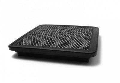 Perrin Performance - Perrin Performance PSP-INT-110 Panel Filter
