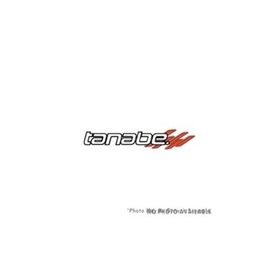 Tanabe - Tanabe TDF153 Lowering Springs for Toyota Prius