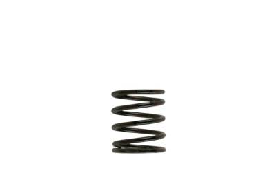 Turbosmart - Turbosmart TS-0505-2001 2011 WG38/40/45 3-PSI Inner Spring Brown/Black