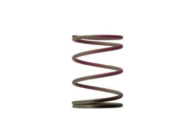 Turbosmart - Turbosmart TS-0505-2006 2011 WG38/40/45 7-PSI Outer Spring Brown/Pink