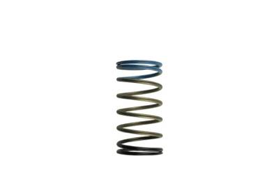 Turbosmart - Turbosmart TS-0502-2004 WG50 & WG60 10-PSI Middle Spring Black/Blue
