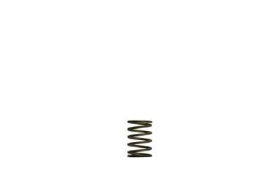 Turbosmart - Turbosmart TS-0550-3081 Gen-V WG38/40 3-PSI Black Inner Spring
