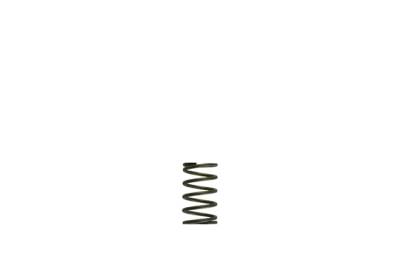 Turbosmart - Turbosmart TS-0550-3082 Gen-V WG38/40 5-PSI Grey Inner Spring