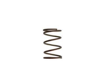 Turbosmart - Turbosmart TS-0550-3084 Gen-V WG38/40 14-PSI Red Outer Spring