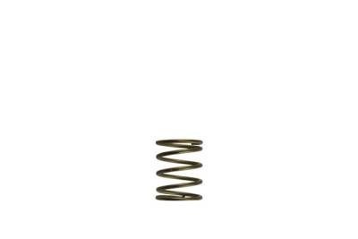 Turbosmart - Turbosmart TS-0550-3085 Gen-V WG45/50 3-PSI Orange Inner Spring