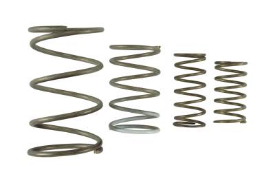 Turbosmart - Turbosmart TS-0550-3152 GenV WG60 Spring Replacement Kit