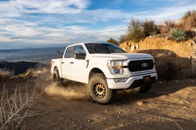 BDS Suspension - BDS Suspension BDS1913FPE 2" Lift 2.5 Coilover 2.0 FOX Rear for 21-24 Ford F150