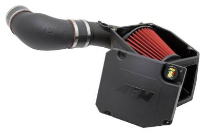 AEM Induction - AEM Induction 21-9032DS Brute Force HD Induction System