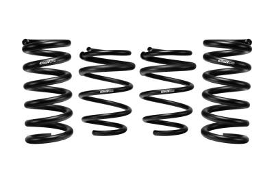 Eibach - Eibach E10-35-029-10-22 4Pc Springs