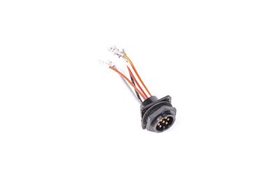 RADIUM Engineering - RADIUM Engineering 17-0028 Bulkhead Harness Internal Triple Walbro F90000262