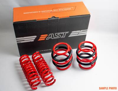 AST Suspension - AST Suspension ASTLS-14-449 Lower Springs Set Cold-Coiled On Wafio Coil Machine