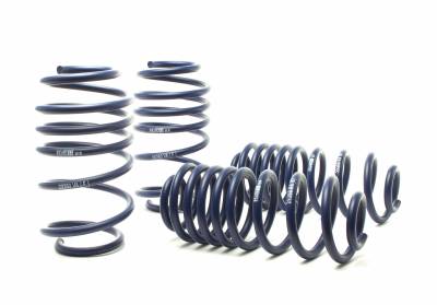 H&R Special Springs LP - H&R 54751-88 Race Spring Kit