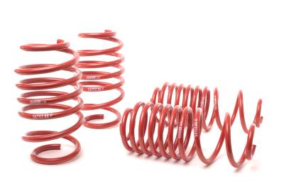H&R Special Springs LP - H&R 54753-88 Race Spring Kit for 11-13 VW Jetta